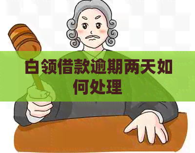 白领借款逾期两天如何处理