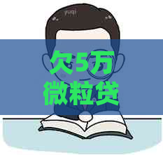 欠5万微粒贷还不起怎么办能不能分期还款
