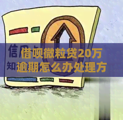 信用卡微粒贷20万逾期怎么办处理方式