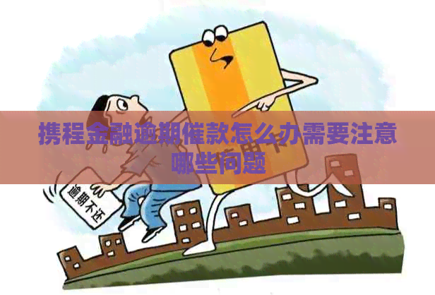 携程金融逾期催款怎么办需要注意哪些问题