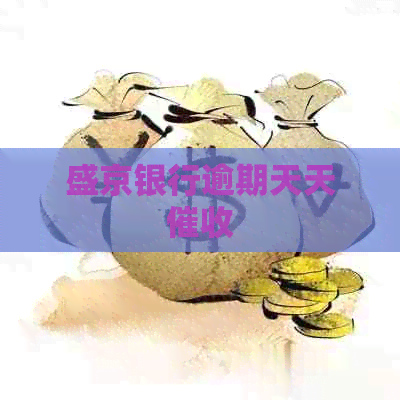 盛京银行逾期天天