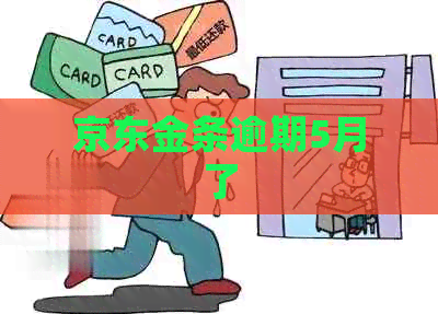 京东金条逾期5月了