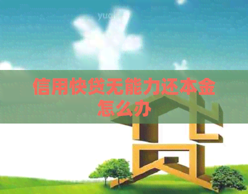 信用快贷无能力还本金怎么办