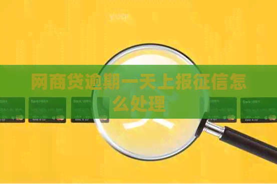 白条贷逾期一天上报怎么处理