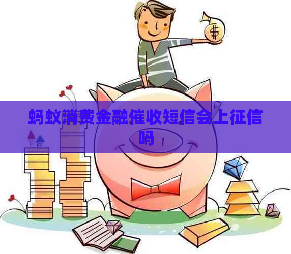 蚂蚁消费金融短信会上吗
