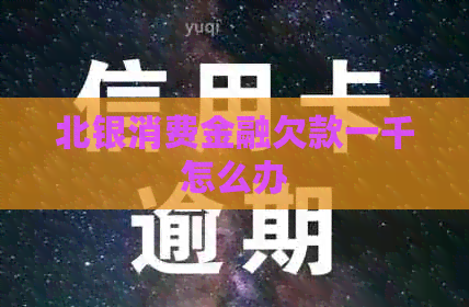 北银消费金融欠款一千怎么办