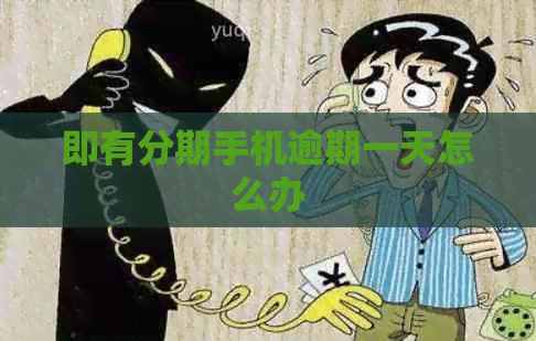 即有分期手机逾期一天怎么办