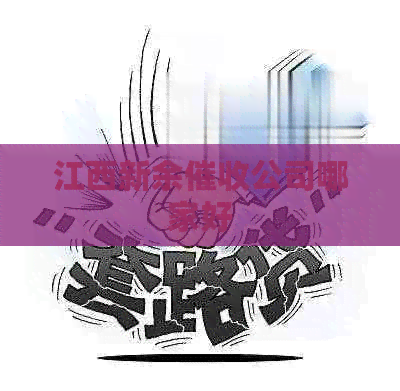 江西新余公司哪家好