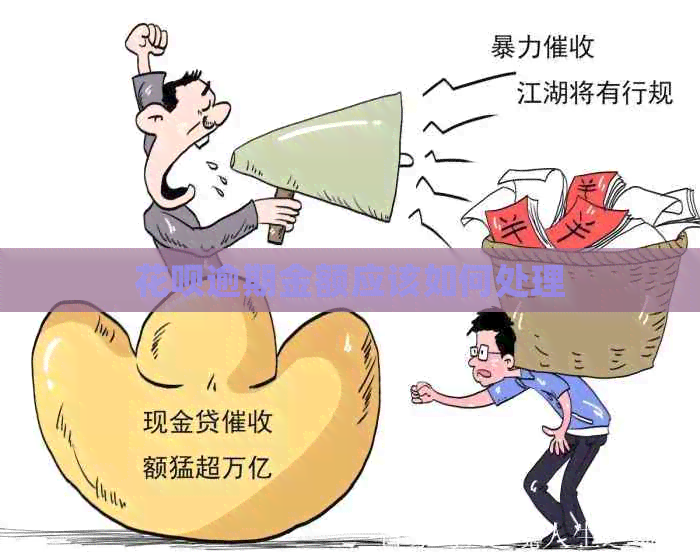 白条逾期金额应该如何处理 白条逾期金额应该如何处理