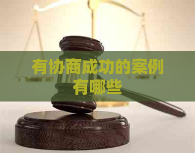 有协商成功的案例有哪些