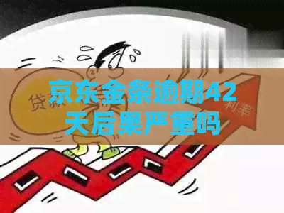 京东金条逾期42天后果严重吗