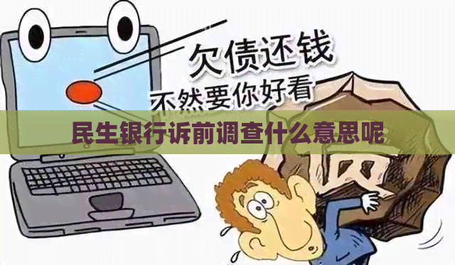 民生银行诉前调查什么意思呢