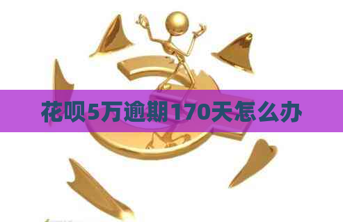 白条5万逾期170天怎么办