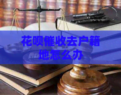 白条去户籍地怎么办