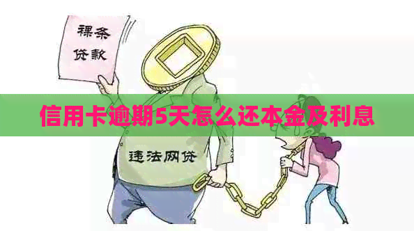 信用卡逾期5天怎么还本金及利息