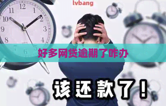 好多网贷逾期了咋办