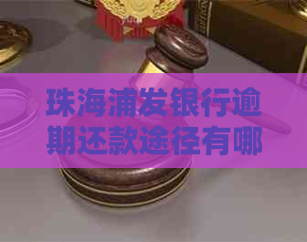 珠海浦发银行逾期还款途径有哪些