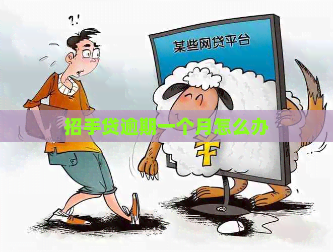 招手贷逾期一个月怎么办