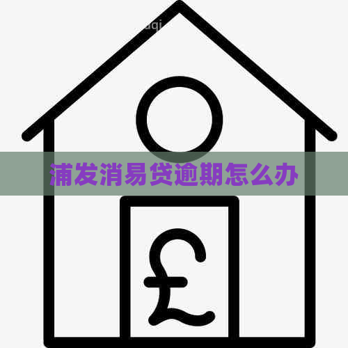 浦发消易贷逾期怎么办