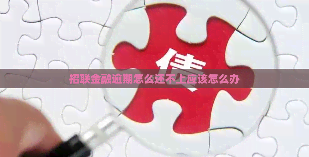招联金融逾期怎么还不上应该怎么办