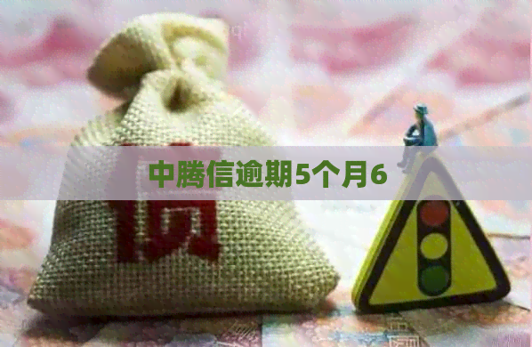 中腾信逾期5个月6