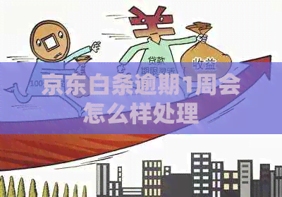 京东白条逾期1周会怎么样处理