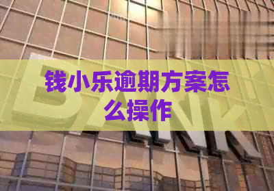 钱小乐逾期方案怎么操作