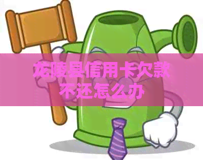 龙陵县信用卡欠款不还怎么办