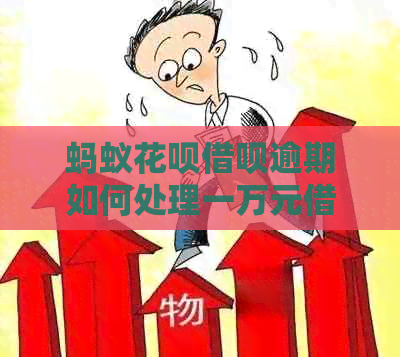 蚂蚁白条信用卡逾期如何处理一万元借款