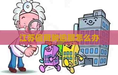江苏信用购逾期怎么办