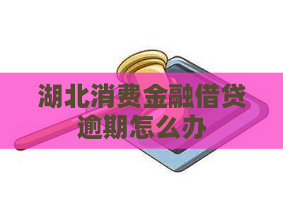 湖北消费金融借贷逾期怎么办