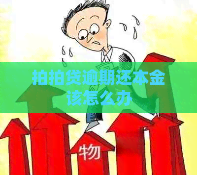 逾期还本金该怎么办