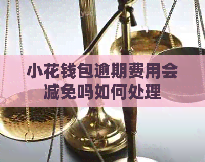 小花钱包逾期费用会减免吗如何处理