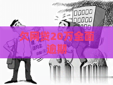 欠网贷20万全面逾期