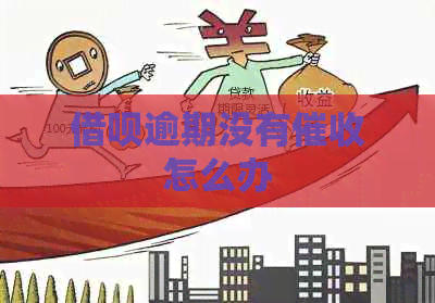 信用卡逾期没有怎么办