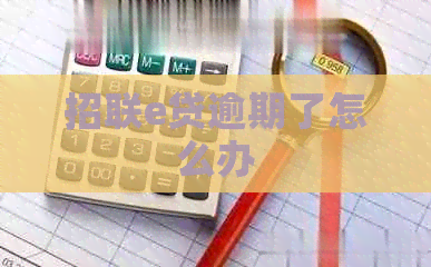 招联e贷逾期了怎么办