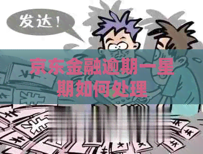 京东金融逾期一星期如何处理