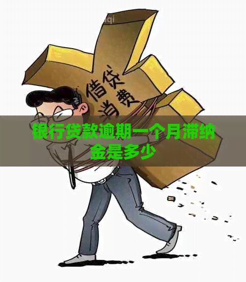 银行贷款逾期一个月滞纳金是多少