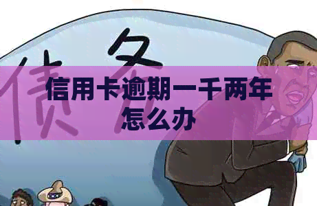 信用卡逾期一千两年怎么办 信用卡逾期一千两年怎么办
