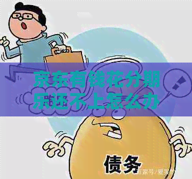 京东有钱花还不上怎么办