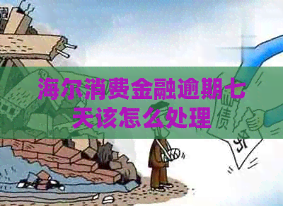 海尔消费金融逾期七天该怎么处理