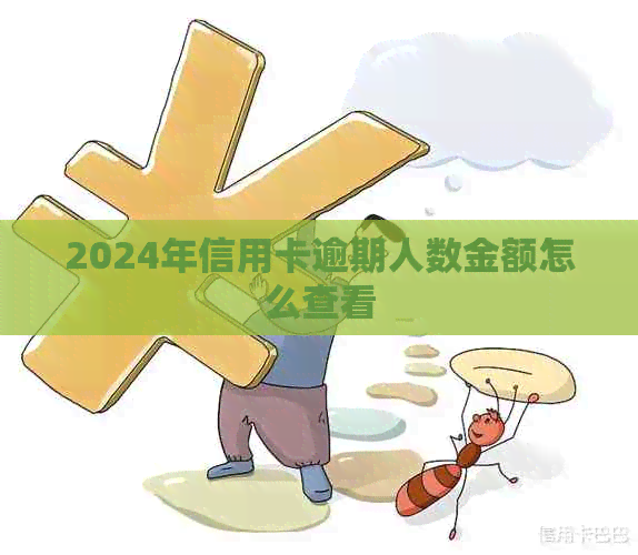 2024年信用卡逾期人数金额怎么查看