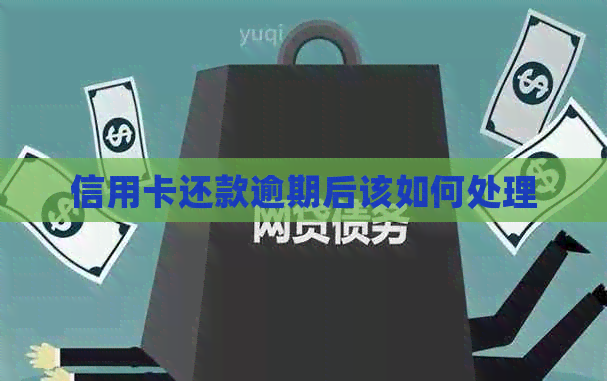 信用卡还款逾期后该如何处理