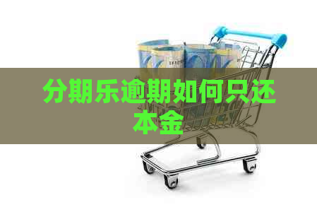 逾期如何只还本金