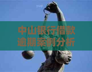 中山银行借款逾期案例分析