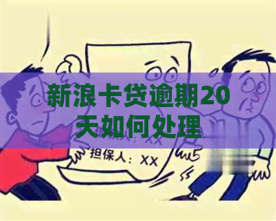 新浪卡贷逾期20天如何处理