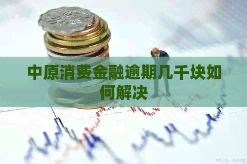 中原消费金融逾期几千块如何解决