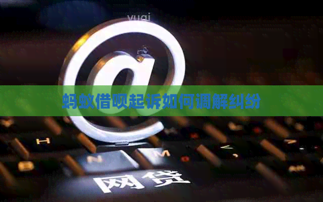 蚂蚁信用卡起诉如何调解纠纷