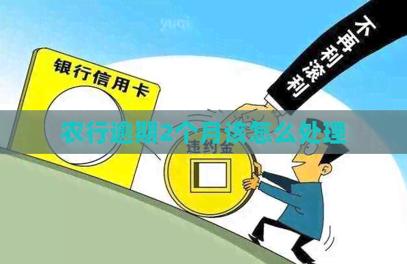 农行逾期2个月该怎么处理