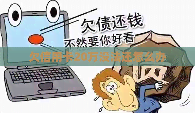 欠信用卡20万没法还怎么办